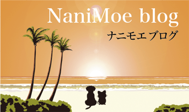 ナニモエプロジェクト